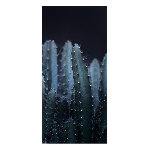 Magnettafel - Wüstenkaktus bei Nacht - Panorama Hochformat