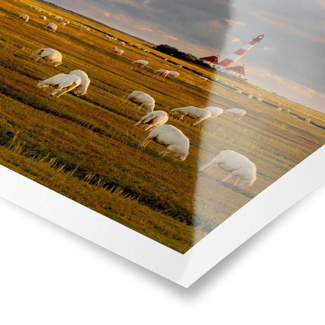 Poster Natur Nordsee Leuchtturm mit Schafsherde