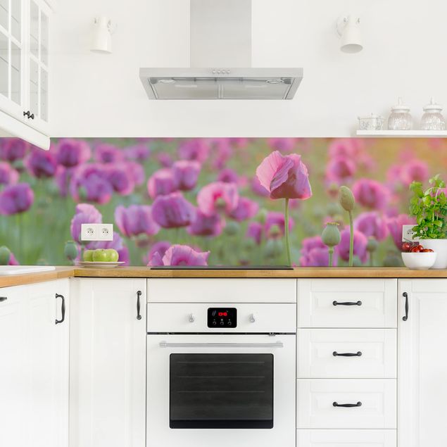 Spritzschutz Küche Glas Violette Schlafmohn Blumenwiese im Frühling
