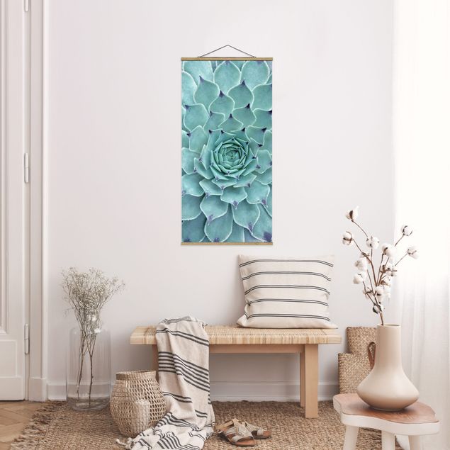 Wandbilder Floral Kaktus Agave