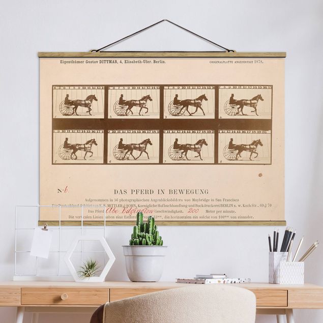 Küche Dekoration Eadweard Muybridge - Das Pferd in Bewegung