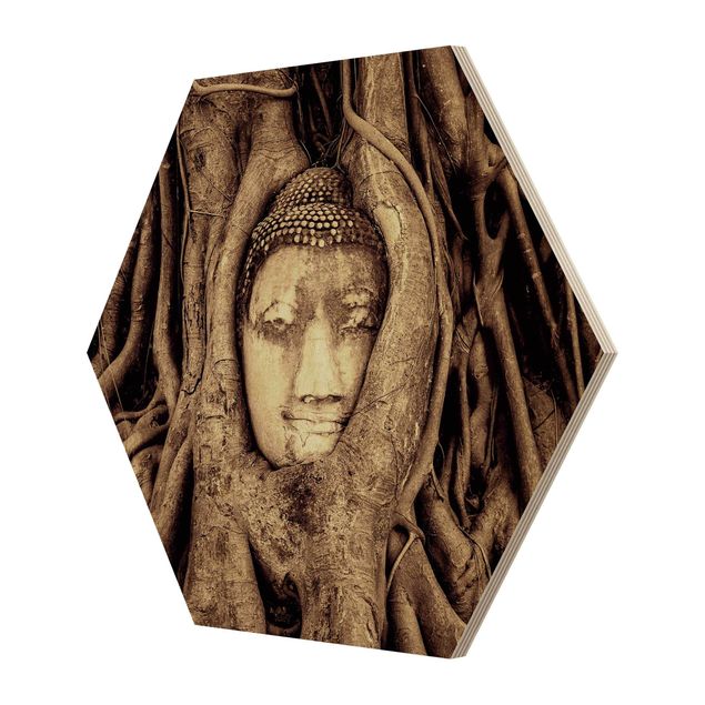 Bilder auf Holz Buddha in Ayutthaya von Baumwurzeln gesäumt in Braun