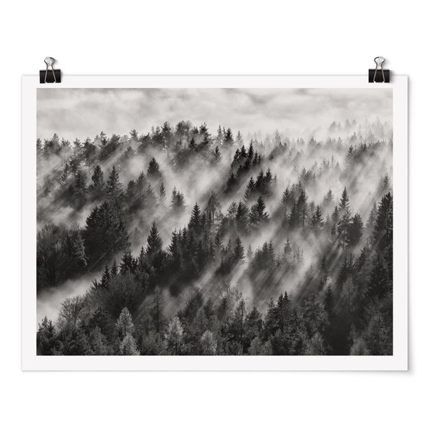 schwarz-weiß Poster Lichtstrahlen im Nadelwald