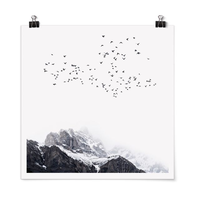 Poster schwarz-weiß Vogelschwarm vor Bergen Schwarz Weiß