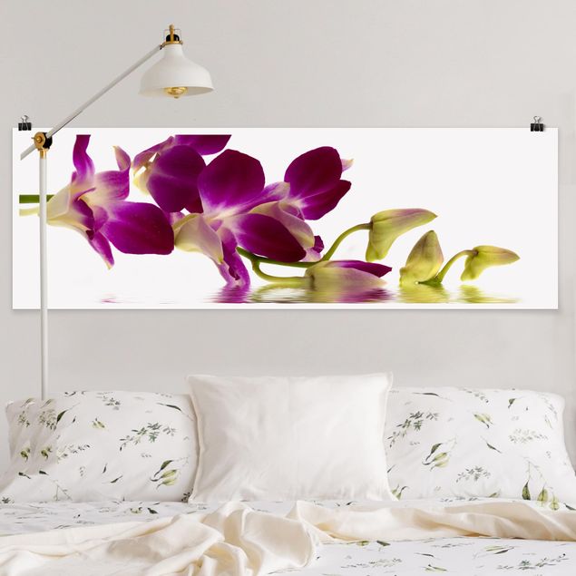 Wandbilder Orchideen Pink Orchid Waters