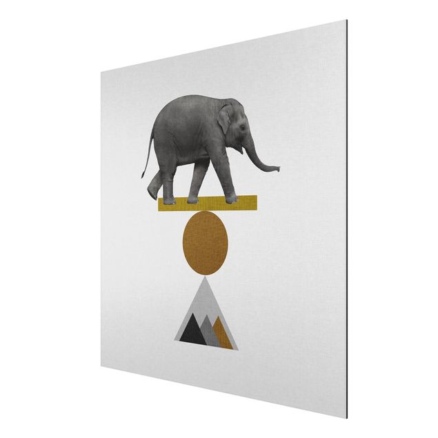 Wandbilder Kunstdrucke Balancekunst Elefant