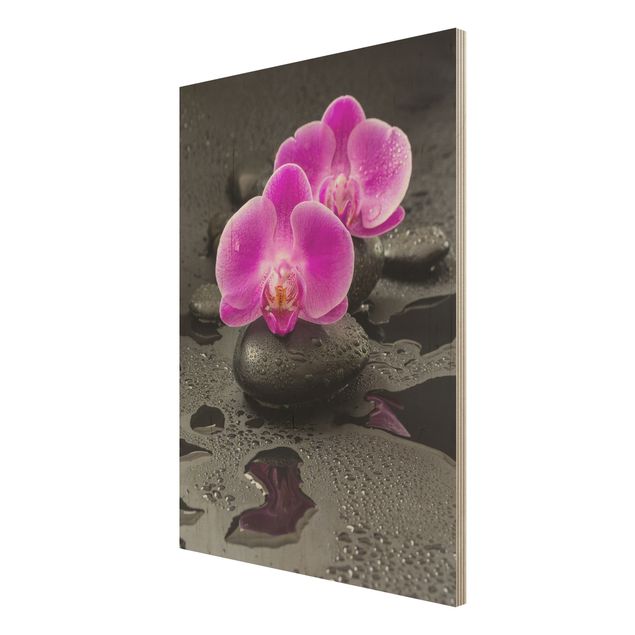 Uta Naumann Bilder Pinke Orchideenblüten auf Steinen mit Tropfen
