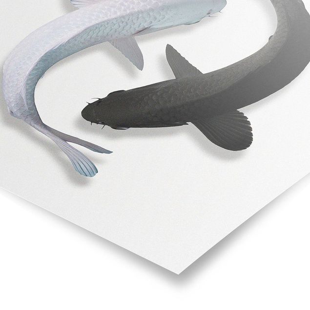 Poster Tiere Fische Ying & Yang