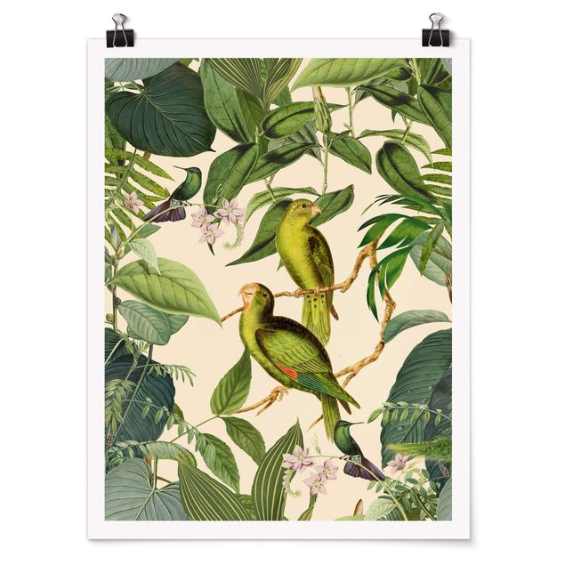 Wandbilder Floral Vintage Collage - Papageien im Dschungel