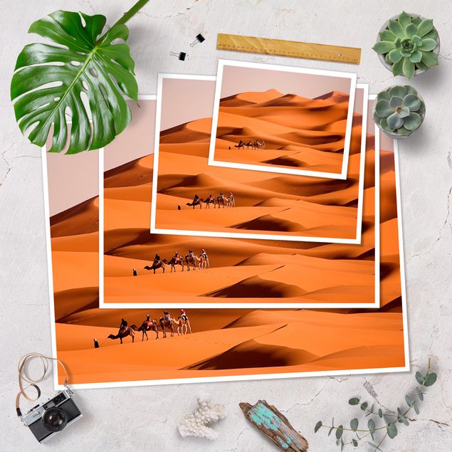 Poster kaufen Namib Desert