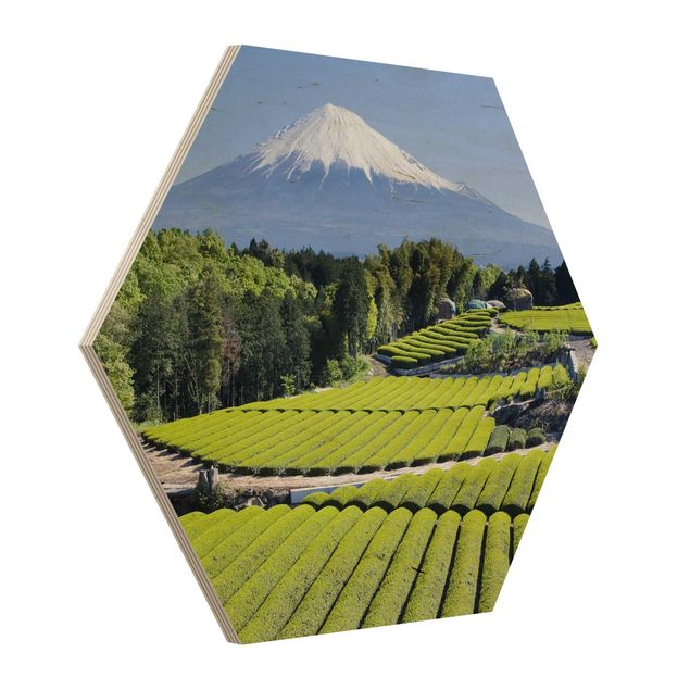 Holzbilder Teefelder vor dem Fuji