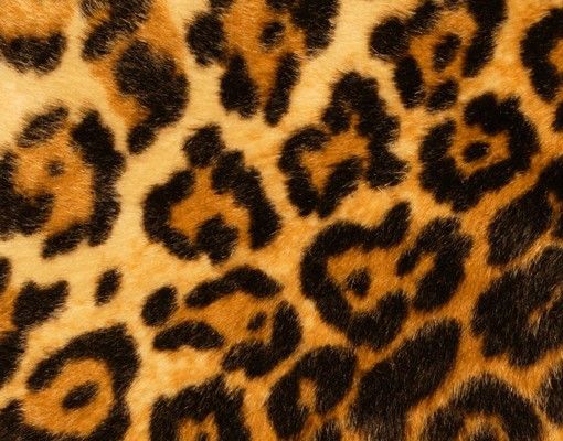 Briefkästen Gelb Jaguar Skin