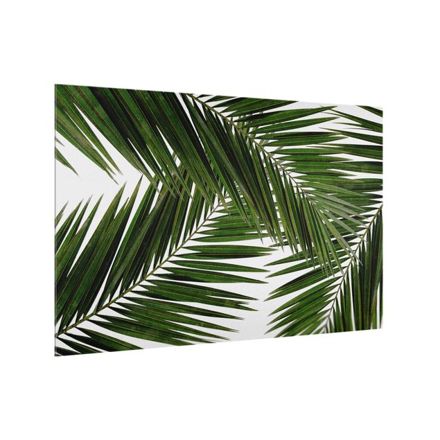 Küchenspiegel Glas Blick durch grüne Palmenblätter