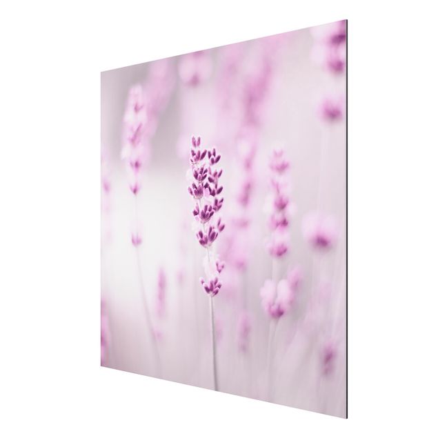 Wandbilder Blumen Zartvioletter Lavendel