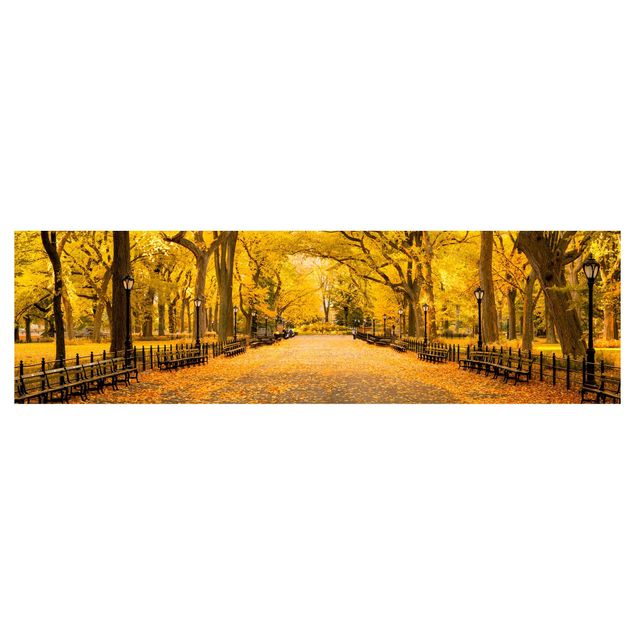 Küchenrückwand - Herbst im Central Park