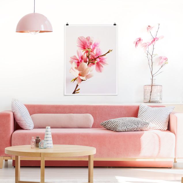Wandbilder Floral Magnolienblüten