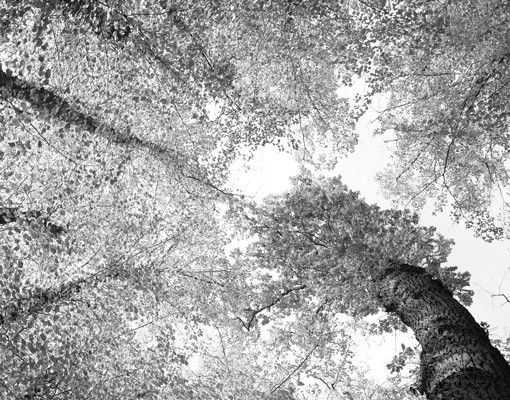Postkasten grau Bäume des Lebens II