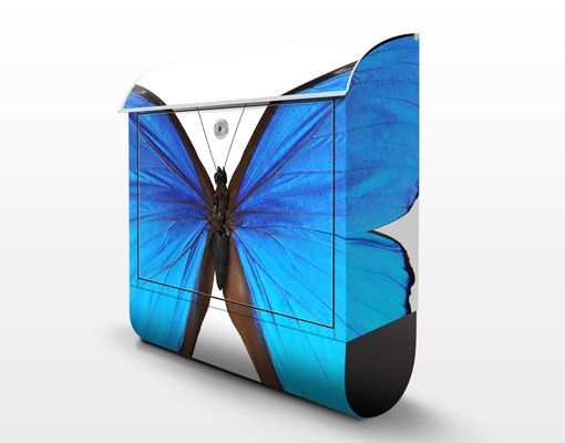 Briefkasten Design Blauer Morphofalter