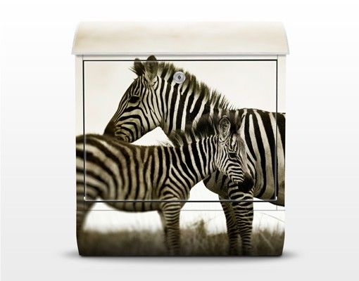 Briefkästen Schwarz-Weiß Zebrapaar