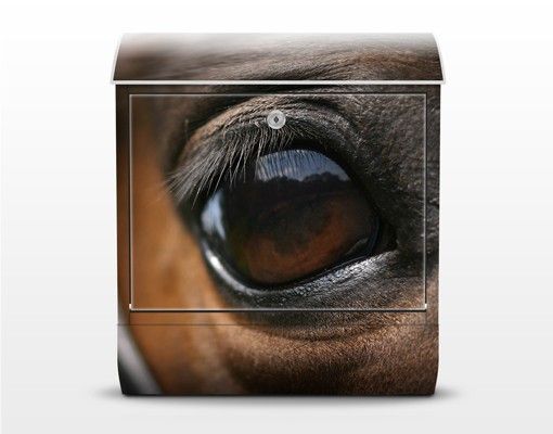 Briefkasten braun Horse Eye
