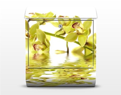 Briefkästen Weiß Elegant Orchid Waters
