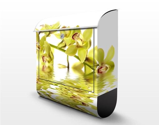 Briefkästen Gelb Elegant Orchid Waters