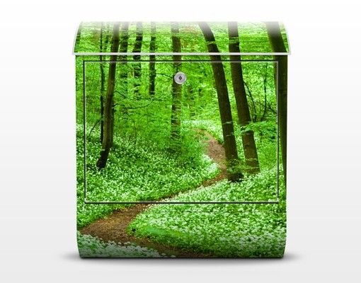 Postkasten grün Romantischer Waldweg