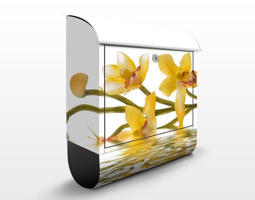 Blumen Briefkasten Saffron Orchid Waters