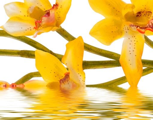 Briefkasten mit Zeitungsfach - Saffron Orchid Waters - Blumen Gelb-Weiß