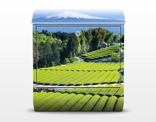 grüner Briefkasten Teefelder vor dem Fuji