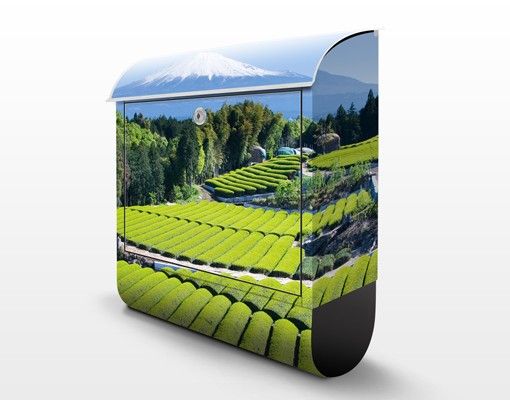 Design Briefkasten Teefelder vor dem Fuji