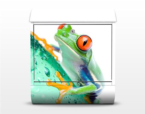 Briefkasten Design Frog