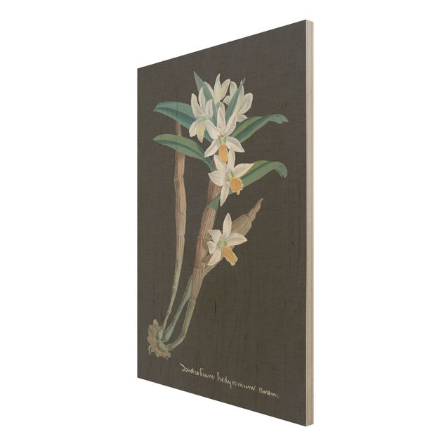 Holzbilder Vintage Weiße Orchidee auf Leinen I
