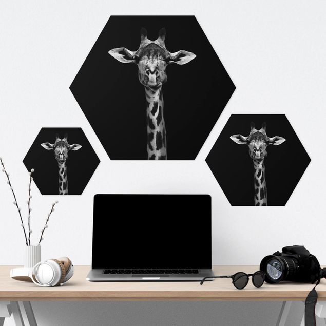 Hexagon Bilder Dunkles Giraffen Portrait