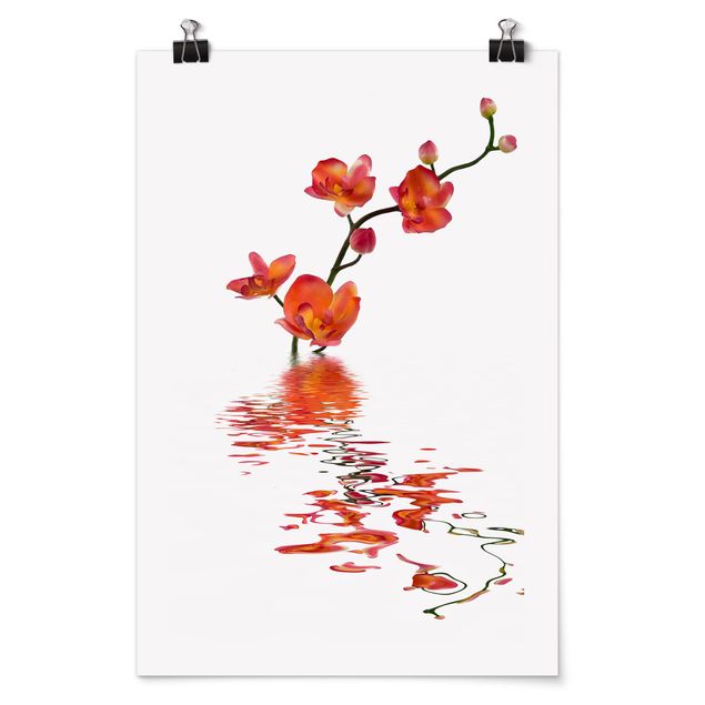 Wandbilder Floral Flamy Orchid Waters