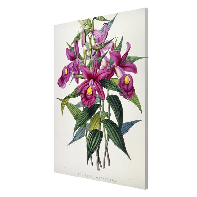 Kunststile Maxim Gauci - Orchidee I
