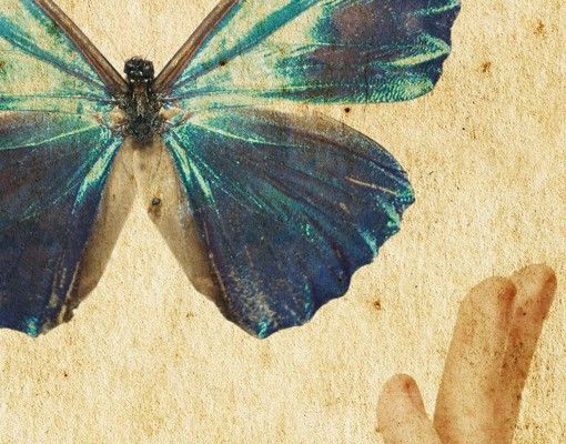 Briefkasten Vintage - Flieg, Schmetterling! - Briefkasten Beige mit Zeitungsrolle