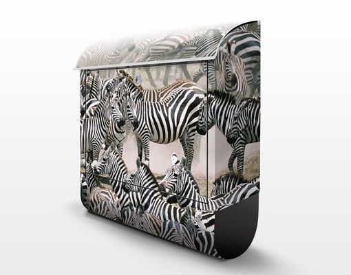 Briefkasten Tier Zebraherde