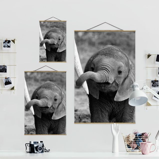 Wandbilder Elefantenbaby