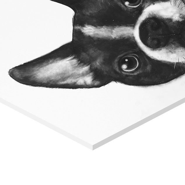 Wandbilder Illustration Hund Boston Schwarz Weiß Malerei