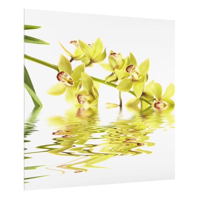 Küchenspiegel Glas Elegant Orchid Waters