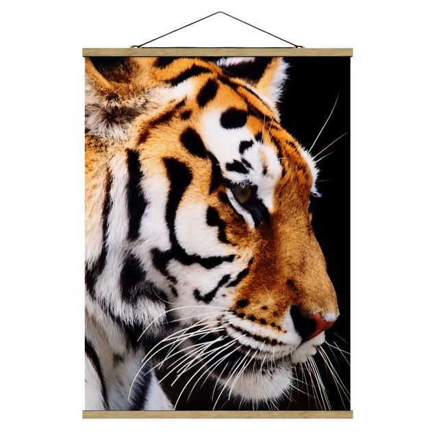 Wandbilder Tiere Tiger Schönheit