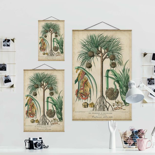 Wandbilder Grün Vintage Lehrtafel Exotische Palmen I