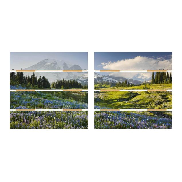 Mirau Bilder Bergwiese mit blauen Blumen vor Mt. Rainier