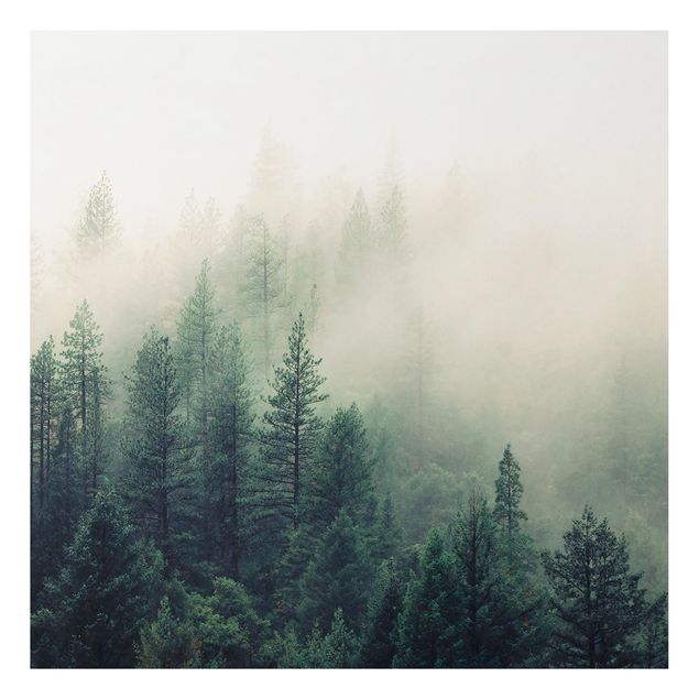 Wandbilder Bäume Wald im Nebel Erwachen