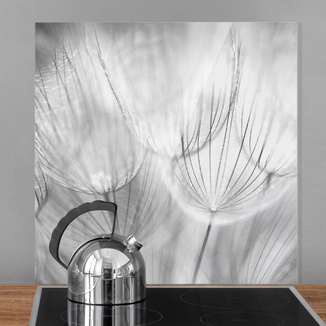 Küchen Deko Pusteblumen Makroaufnahme in schwarz weiß