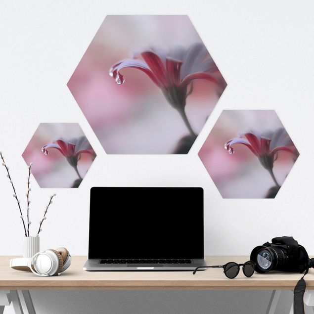Hexagon Bild Alu-Dibond - Invisible Touch