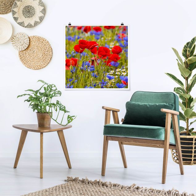 Poster Kunstdruck Sommerwiese mit Mohn und Kornblumen