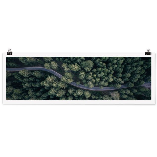 Poster Naturbilder Luftbild - Waldstraße von Oben