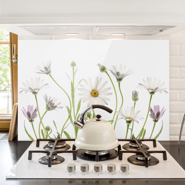 Küche Dekoration Kap - Gänseblümchen